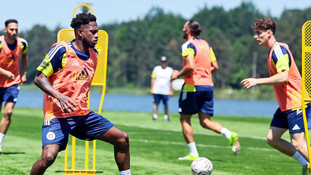 Fenerbahçe, Yeni