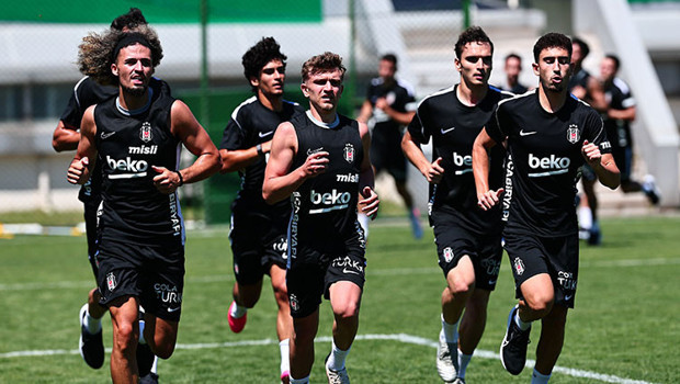 Beşiktaş, Yeni
