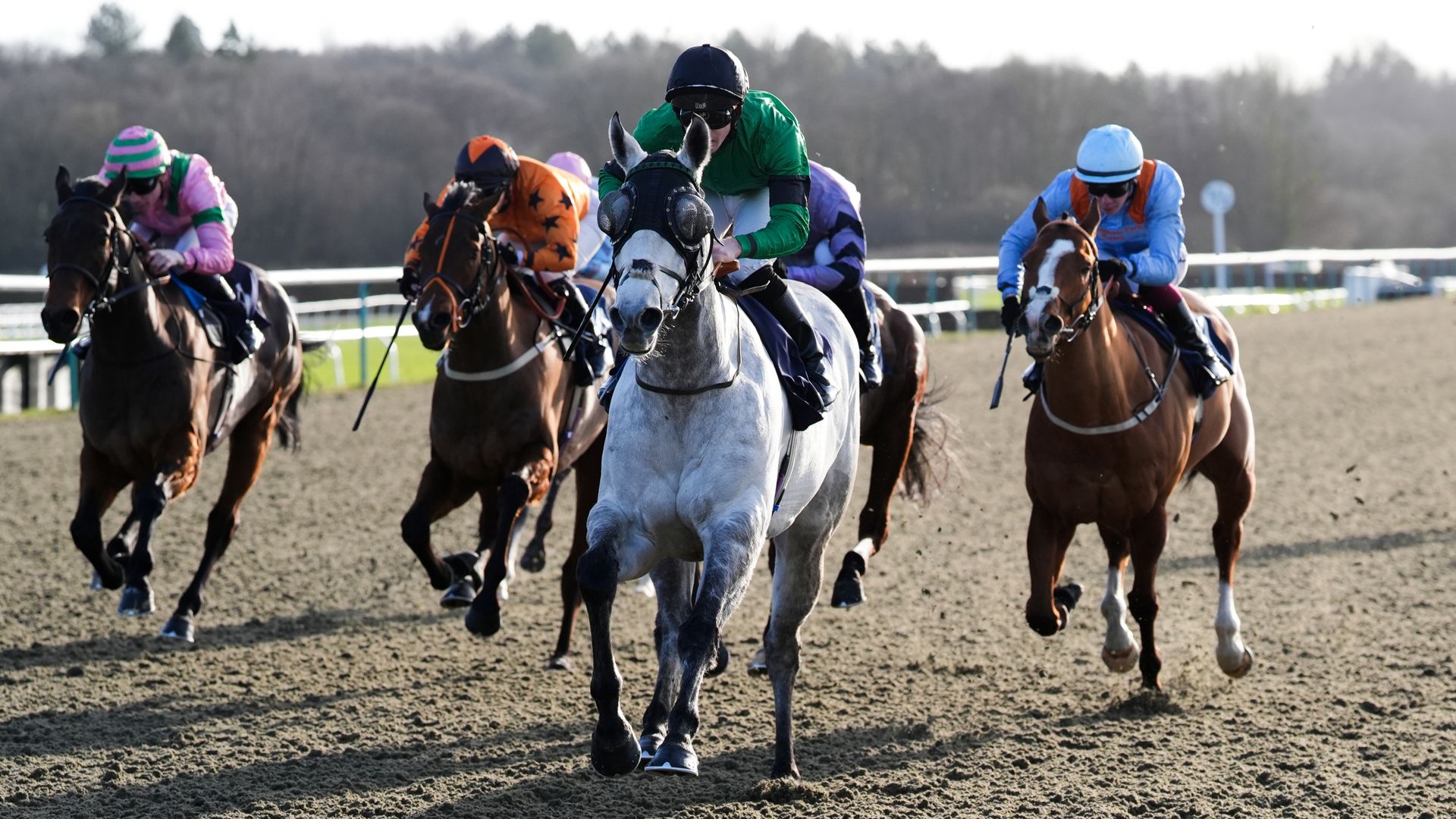 Lingfield, Wolverhampton