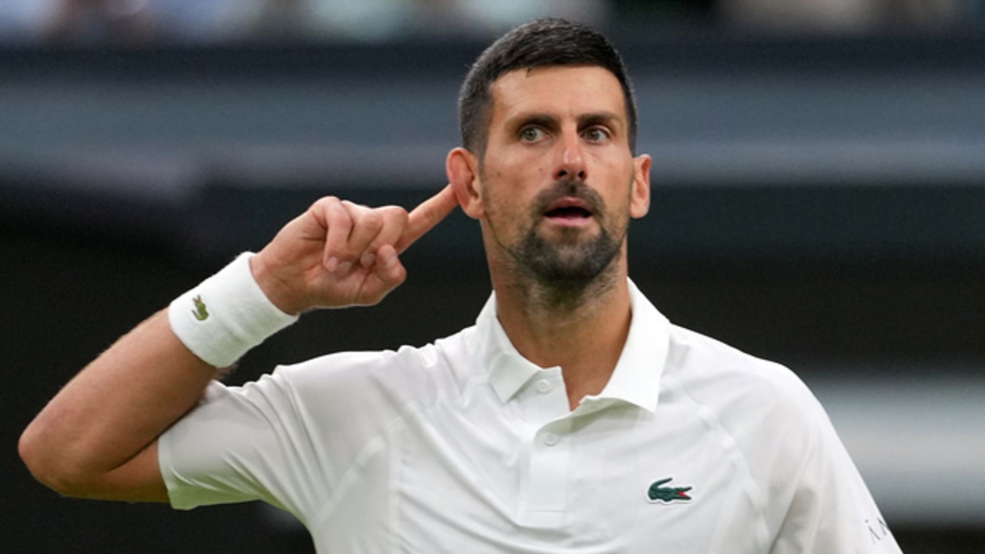 Wimbledon'da Gauff,