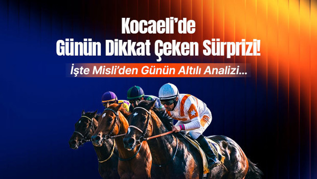 Kocaeli'de At