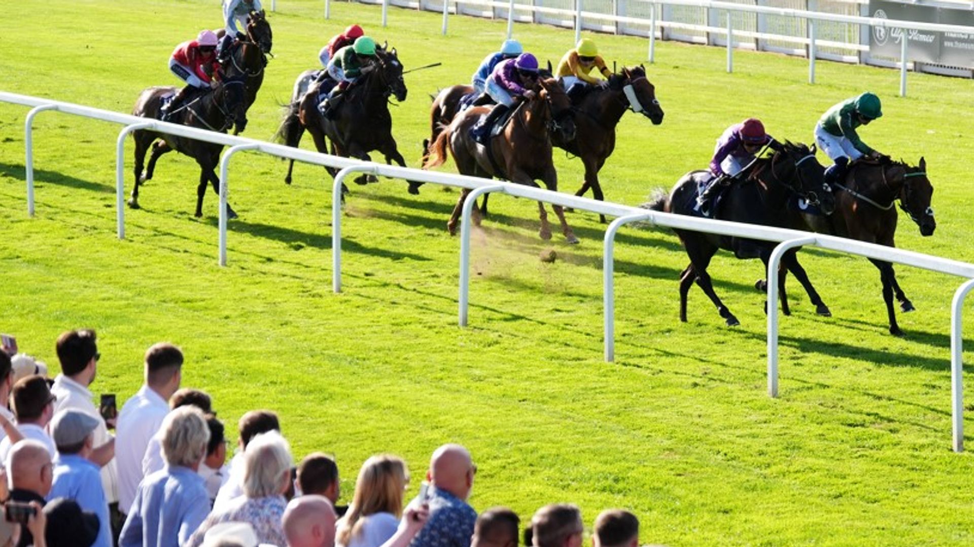 Windsor'da Badri
